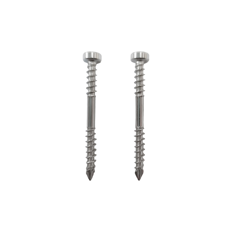 Cylinder Head Torx Diamond Tail Drywall Screw Double Thread Cylinder Head Torx Diamond Tail Drywall Screw Double Thread