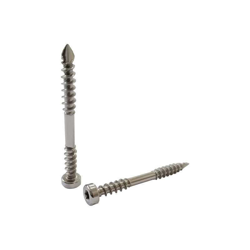 Cylinder Head Torx Diamond Tail Drywall Screw Double Thread Cylinder Head Torx Diamond Tail Drywall Screw Double Thread